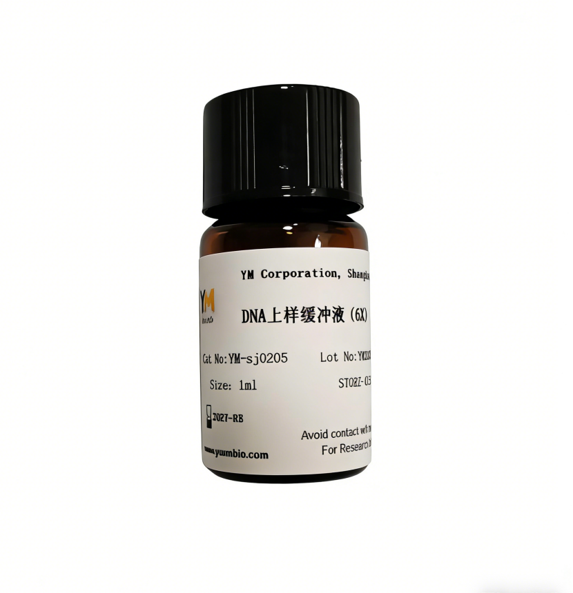 DNA上样缓冲液（6X）